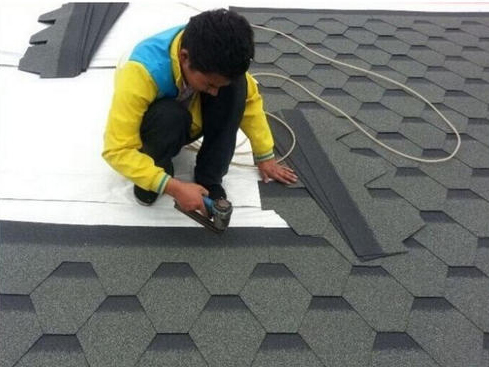 Asphalt Shingle Roof Tile